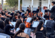 concierto grais lara notilara » Análisis Integral