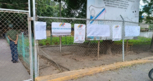 elecciones notilara » participación electoral
