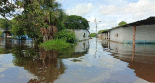 rio orinoco notilara » Análisis Integral