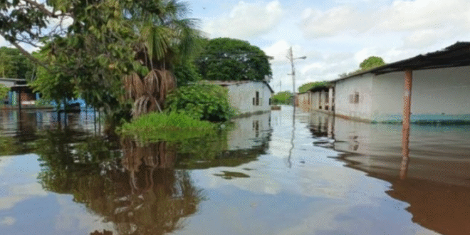 rio orinoco notilara » Análisis Integral
