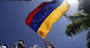 bandera notilara » Transportistas