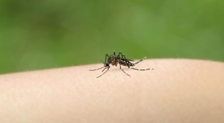 lluvias enfermedad notilara » Alerta sanitaria