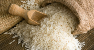 arroz notilara » Barquisimeto