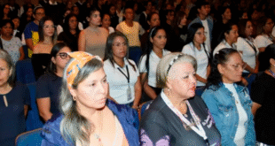 ciclo demencia notilara » autopartes