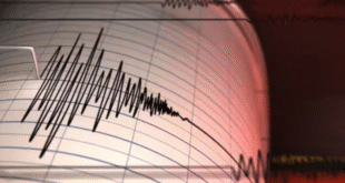 sismo notilara » BARQUISIMETO