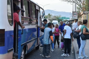 transporte notilara » Transportistas