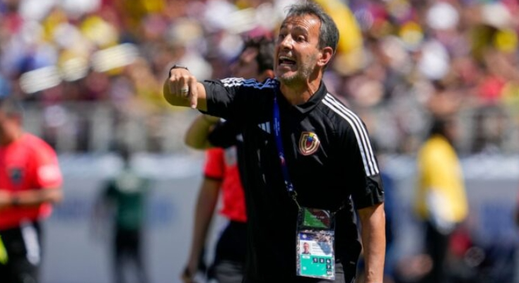 verguenza vinotinto notilara » FVF