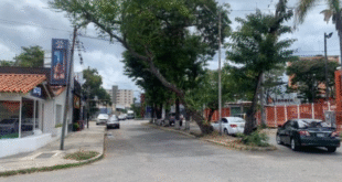 arboles notilara » aceras