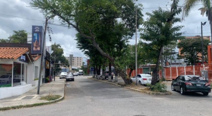 arboles notilara » Árboles