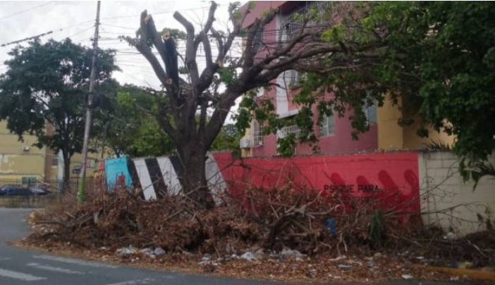 desechos peligro notilara » desechos