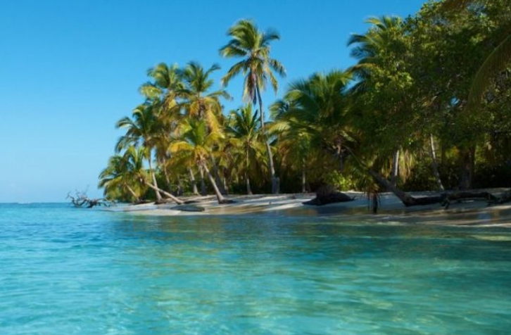 falcon notilara » Morrocoy