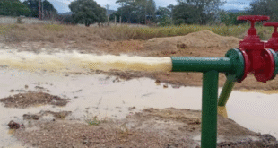 tamaca notilara » odontólogo