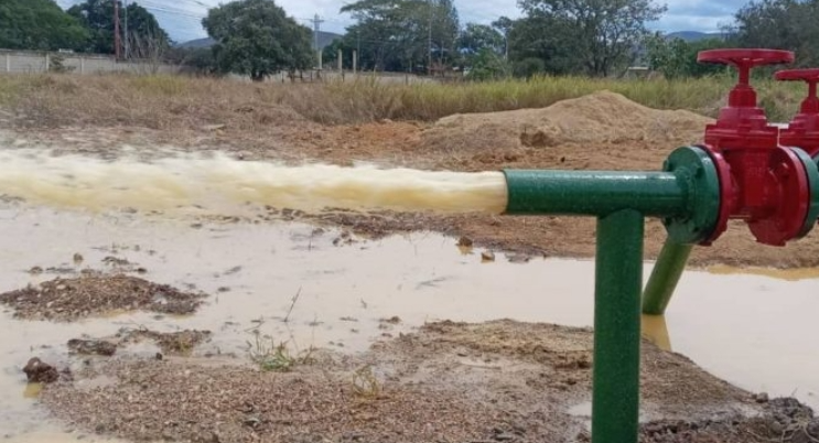 tamaca notilara » Don Aurelio