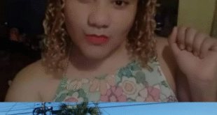 2444 » BARQUISIMETO