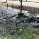 IMG 6212 1024x768 1 » Libertador