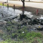 IMG 6212 scaled 1 » Libertador