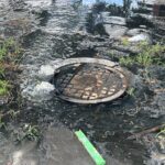 IMG 6213 1024x768 1 » Libertador