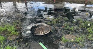 IMG 6214 1024x768 1 » motorizados