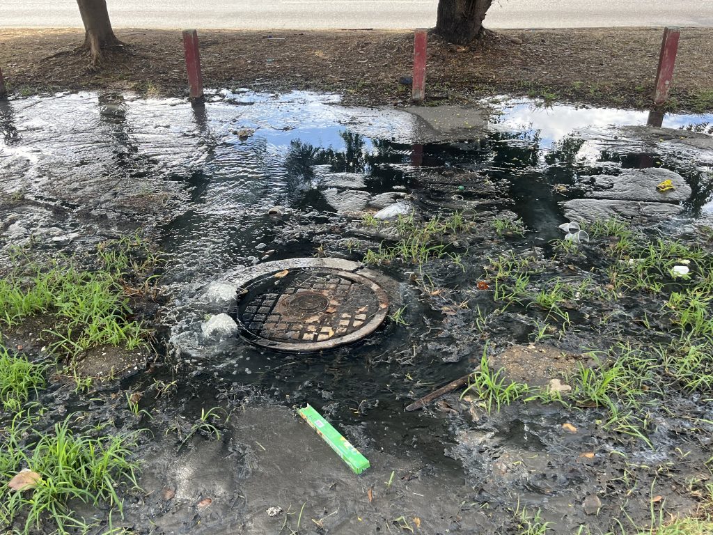 IMG 6214 1024x768 1 » Libertador