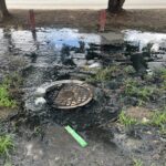 IMG 6214 1024x768 2 » Libertador