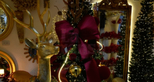 arbolito notilara » navideña