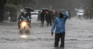 lluvia2 notilara » Onda tropical