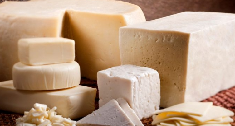 queso barinas notilara » Barinas