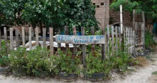 ruezga notilara » Cardenales de Lara