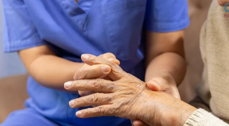 sistemainmune notilara » sistema inmunitario