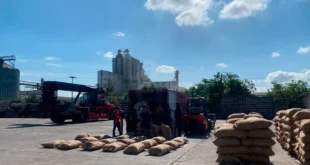 exportacion notilara &raquo; café