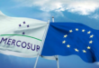 Mercosur y Unión Europea sellan histórico acuerdo comercial tras más de 25 años de negociaciones y en medio de fuerte tensión política » Transbarca mercosur » Transbarca