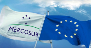 mercosur &raquo; hundimiento