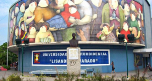 ucla sueldos notilara &raquo; Transbarca