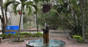 ascardio notilara &raquo; Ascardio