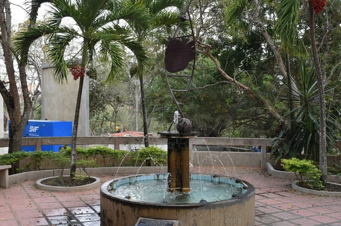 ascardio notilara &raquo; Ascardio