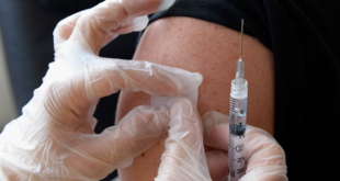 fiebreamarilla notilara &raquo; fiebre amarilla