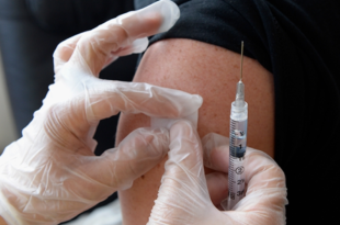 fiebreamarilla notilara &raquo; fiebre amarilla