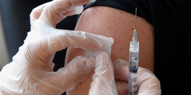 fiebreamarilla notilara &raquo; fiebre amarilla