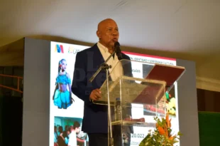 reyes reyes notilara &raquo; Reyes Reye