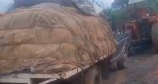 lluviasenlara notilara &raquo; colapso