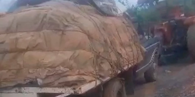 lluviasenlara notilara &raquo; colapso