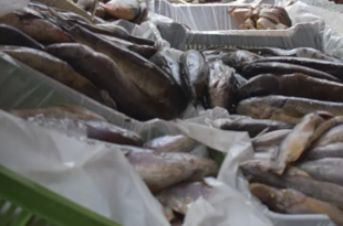 pescado notilara &raquo; Semana Sant