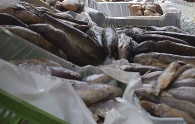 pescado notilara &raquo; Semana Sant